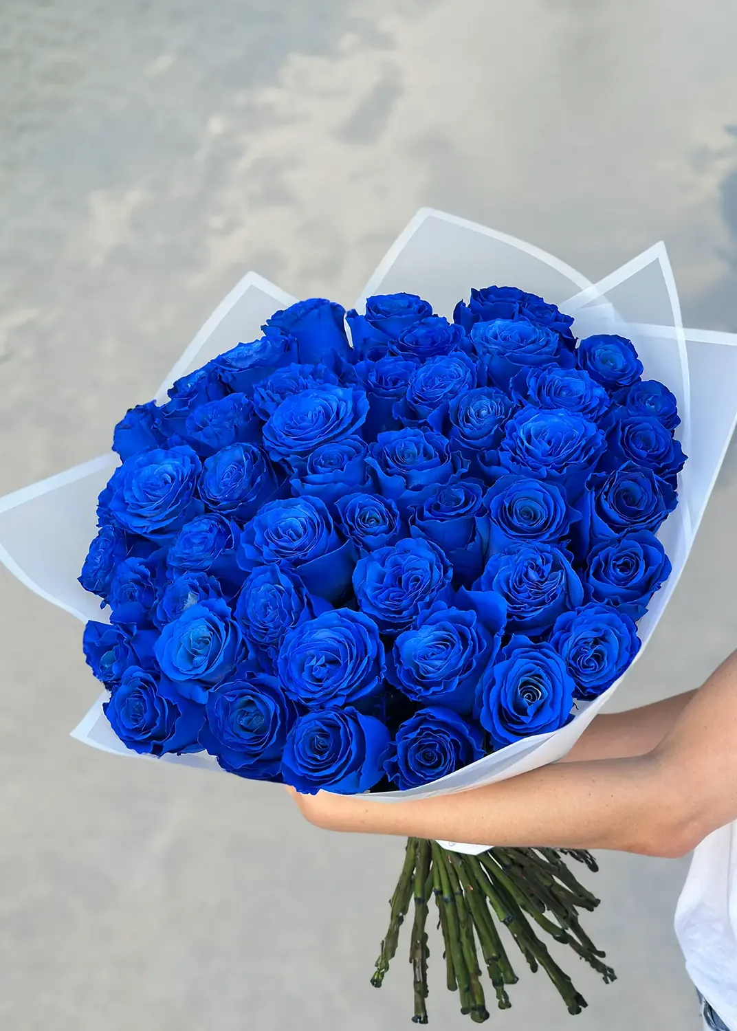 Blue Roses — Especial al por mayor desde Ecuador, 60 cm