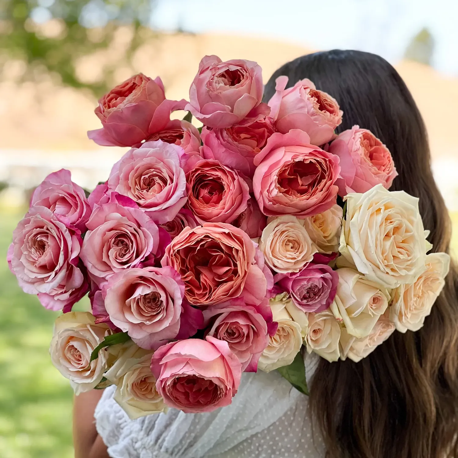 Rosas premium de las fincas aliadas de la sierra ecuatoriana