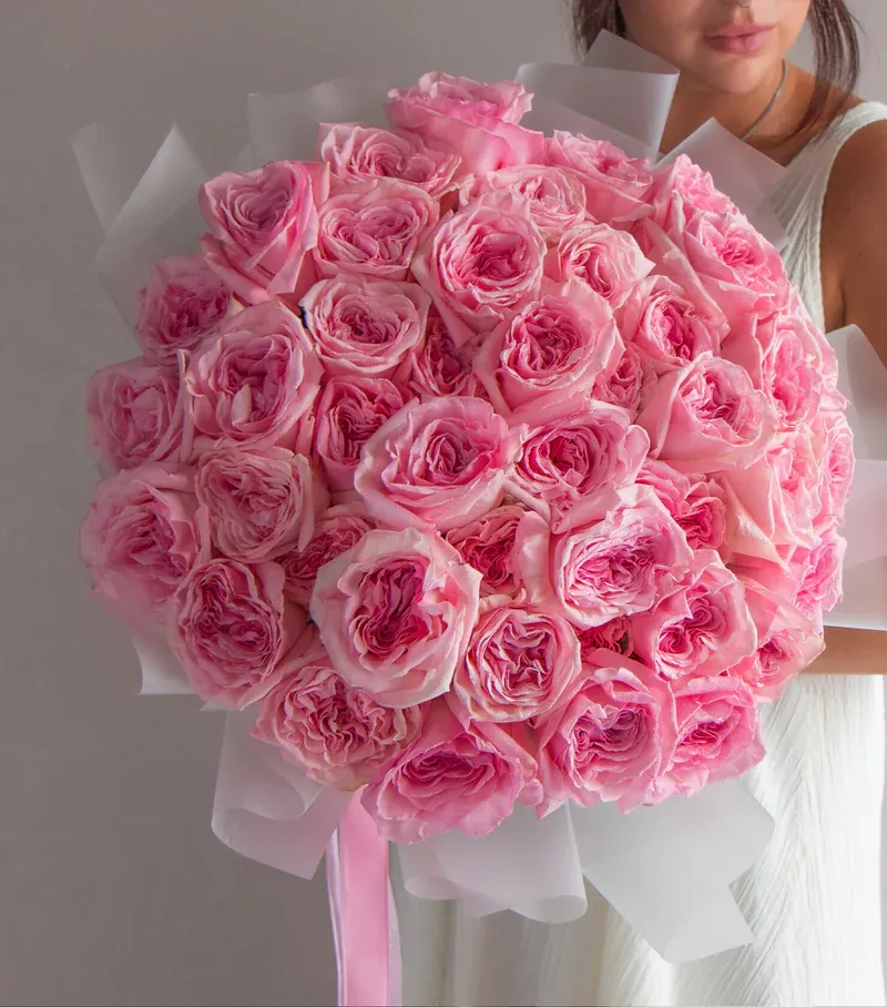 Pink O'Hara — Rosas al por mayor desde Ecuador, 50 cm